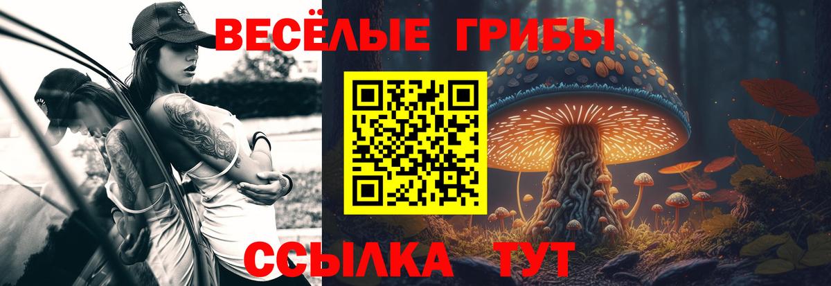 Павлово  Галлюциногенные грибы ЛСД  Вход с VPN 